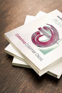 Libro "meditaciones de un alma en movimiento"