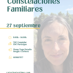 Taller Constelaciones familiares 27 septiembre